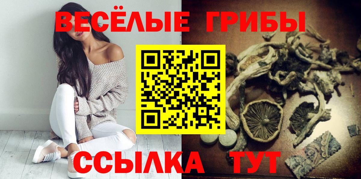 Псилоцибиновые грибы мухоморы Гусев